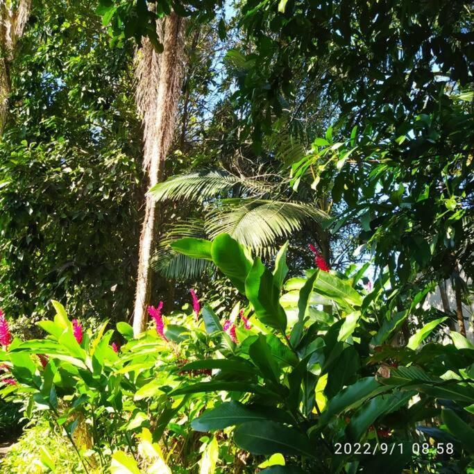 Villa Castelinho do Felix Guarujá Pernambuco Esterno foto